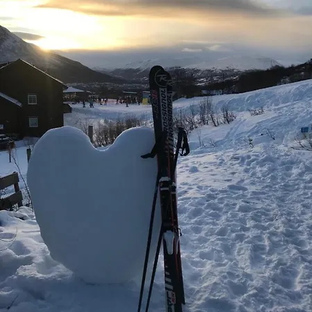 Alpint Ski Cabin Ski In Ski Out Daire *